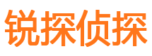 山亭市调查取证